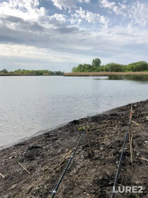 Crucian carp — Beysuzhyok Levyy, May 02, 2019