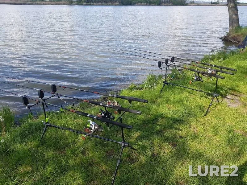 Carp, Crucian carp — Stavok, May 06, 2019