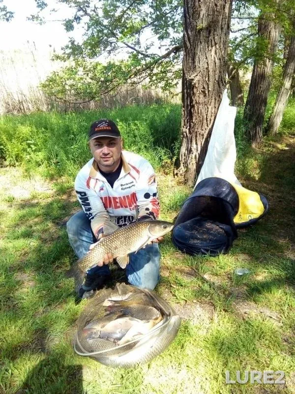 Carp — 2-ya Kochety, May 05, 2019
