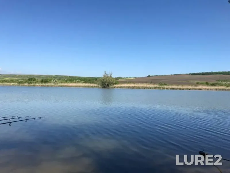 Carp — Gostagayka, May 08, 2019