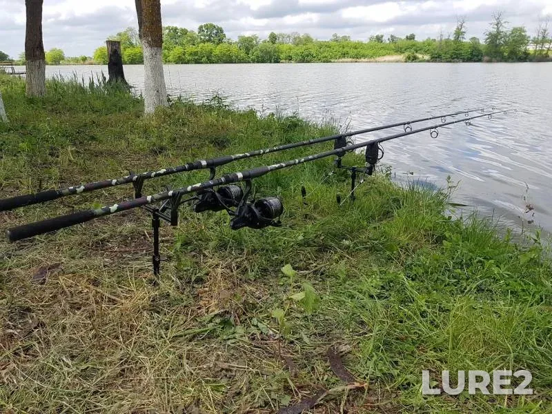 Carp — Kochety 3, May 10, 2019