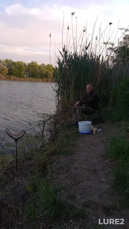 Crucian carp — Ponura, May 20, 2019