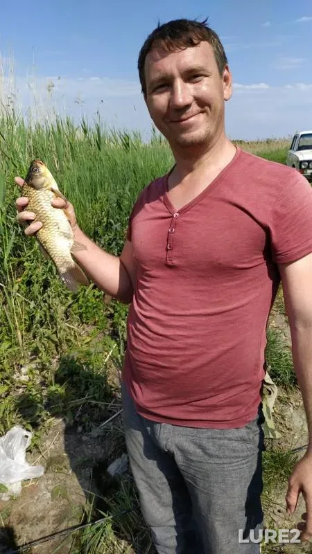 Bream, Crucian carp — Ponura, May 27, 2019