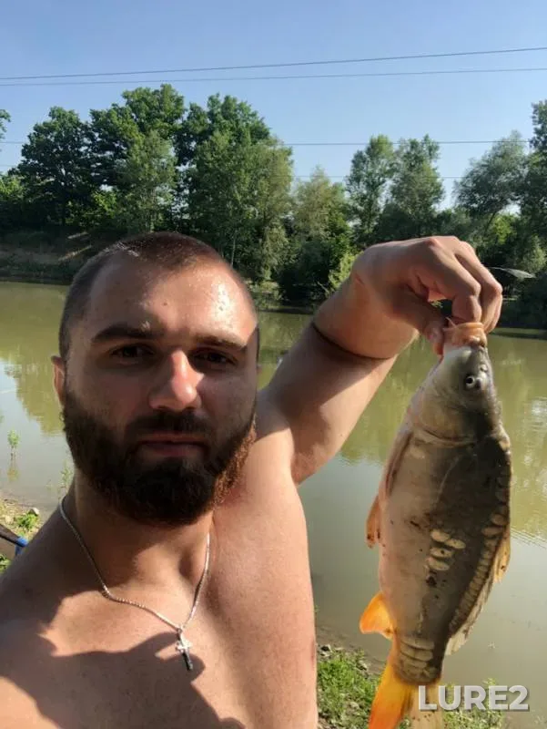 Carp — Psekups, Jun 03, 2019