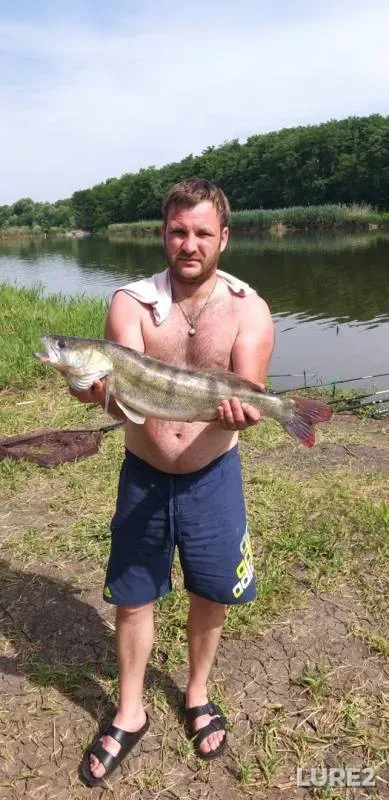 Zander — 3ya-Kochety, Jun 03, 2019