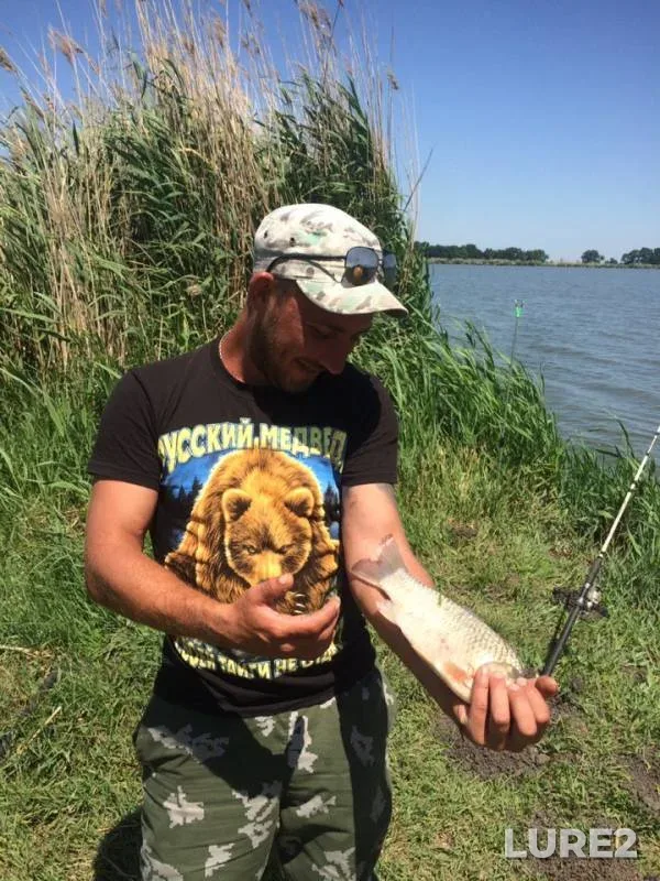 Crucian carp — Krasnodarskiy kray, Jun 10, 2019
