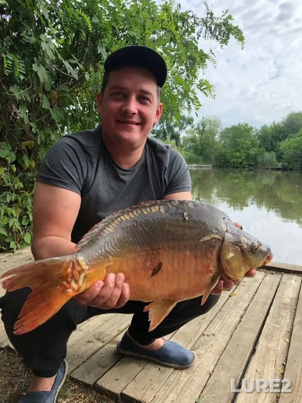 Carp — Yegorlyk, Jun 20, 2019