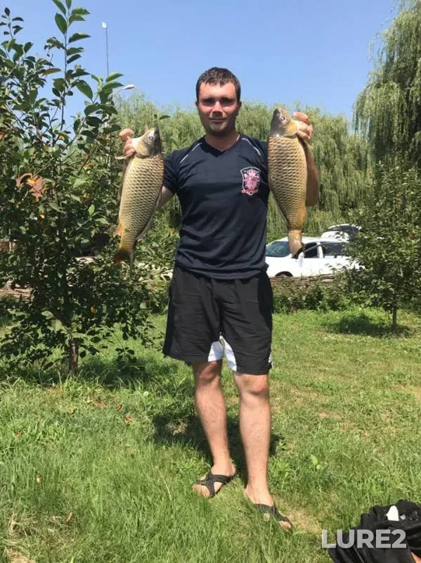 Carp — Kuban, Jun 21, 2019