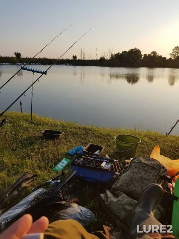 Carp — Krasnodarskoye, Aug 04, 2019