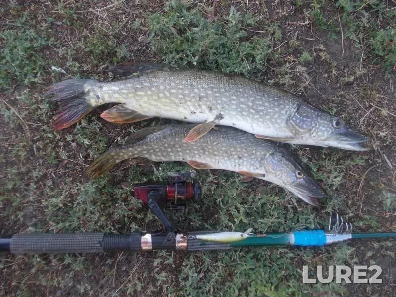 Pike — Tobyl - Tobol, Nov 19, 2015
