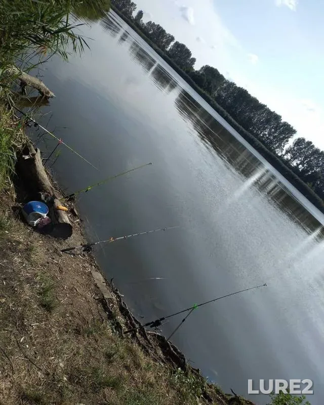 Carp — Beysuzhyok Levyy, Jul 29, 2019