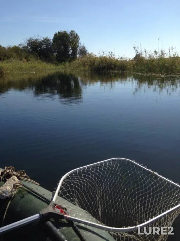 Pike — Luganska oblast, Dec 01, 2015