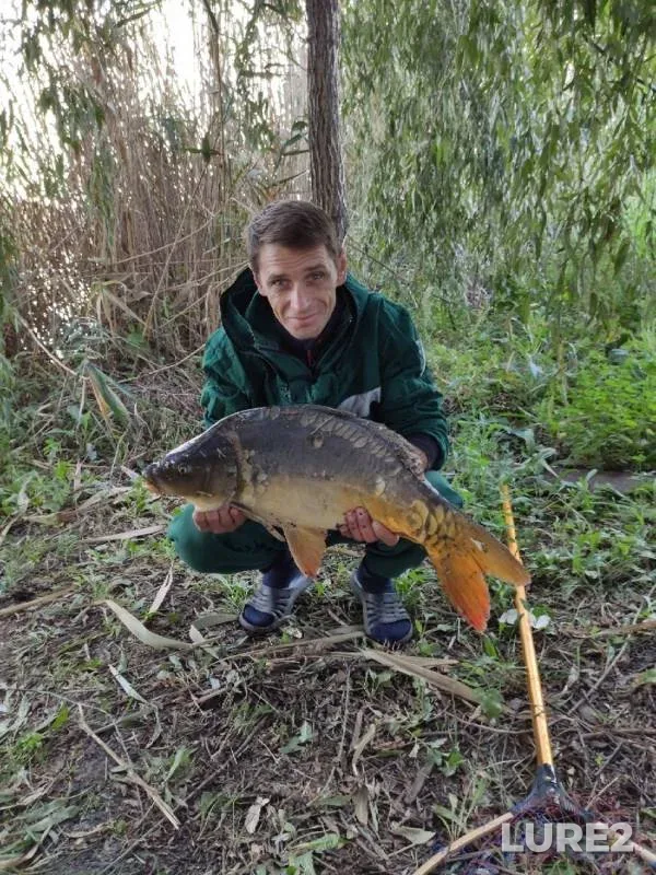 Carp — Kochety, Sep 08, 2019