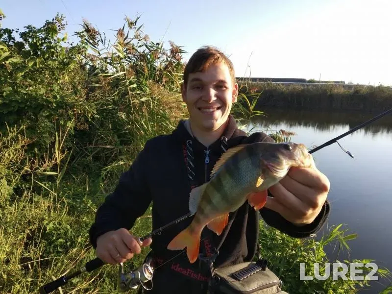 Perch — Kirpili, Sep 08, 2019