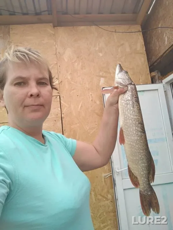 Pike — Chelyabinskaya oblast, Sosnovskiy rayon, Jun 07, 2019