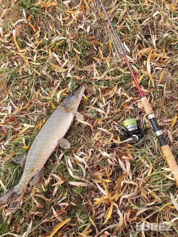Pike — Kryukovskoye, Nov 10, 2019