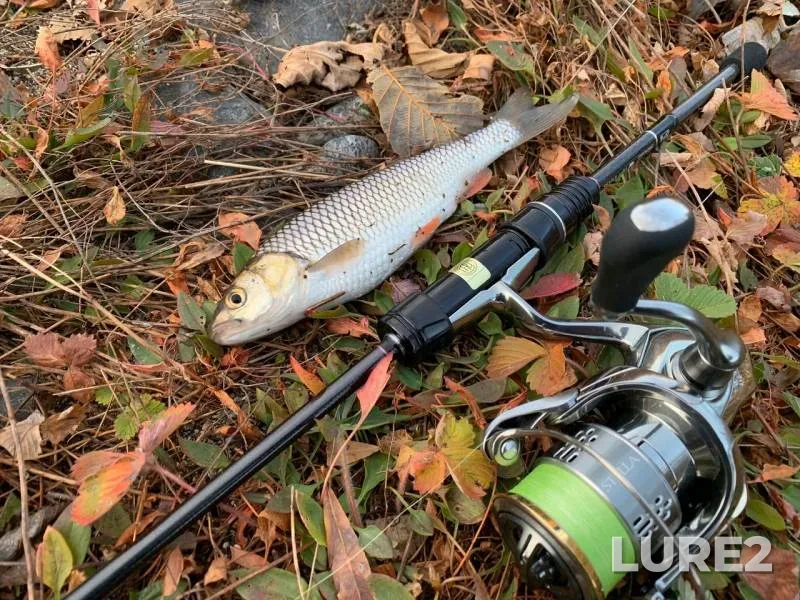 Chub — Bolshoy Zelenchuk, Nov 11, 2019