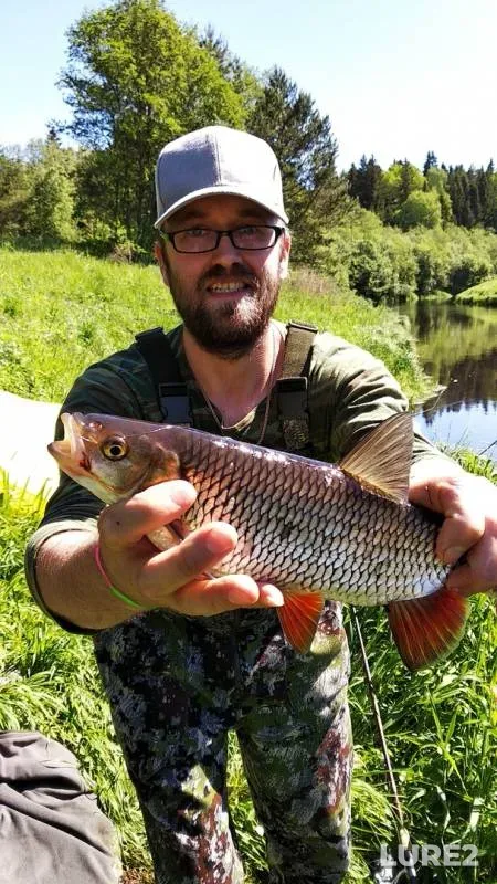 Chub — Saba, Jun 18, 2019