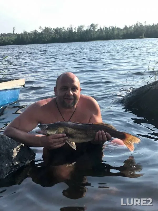 Zander — Leningradskaya oblast, Priozerskiy rayon, Jun 25, 2019