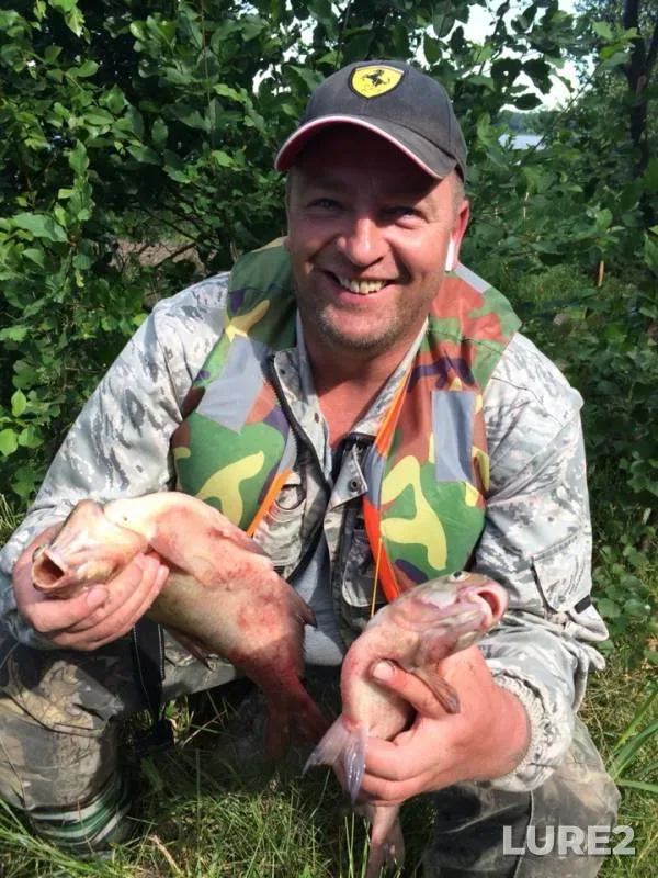 Bream — Babinskoye, Jun 29, 2019
