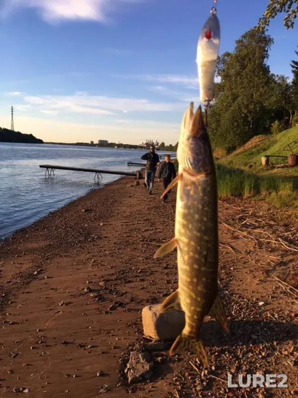 Pike — Neva, Jul 04, 2019