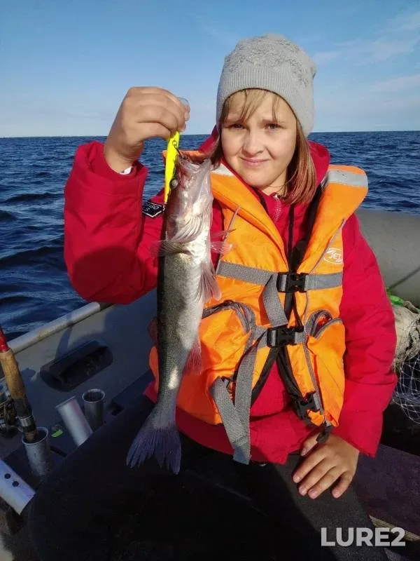 Zander — Leningradskaya oblast, Volkhovskiy rayon, Jul 08, 2019