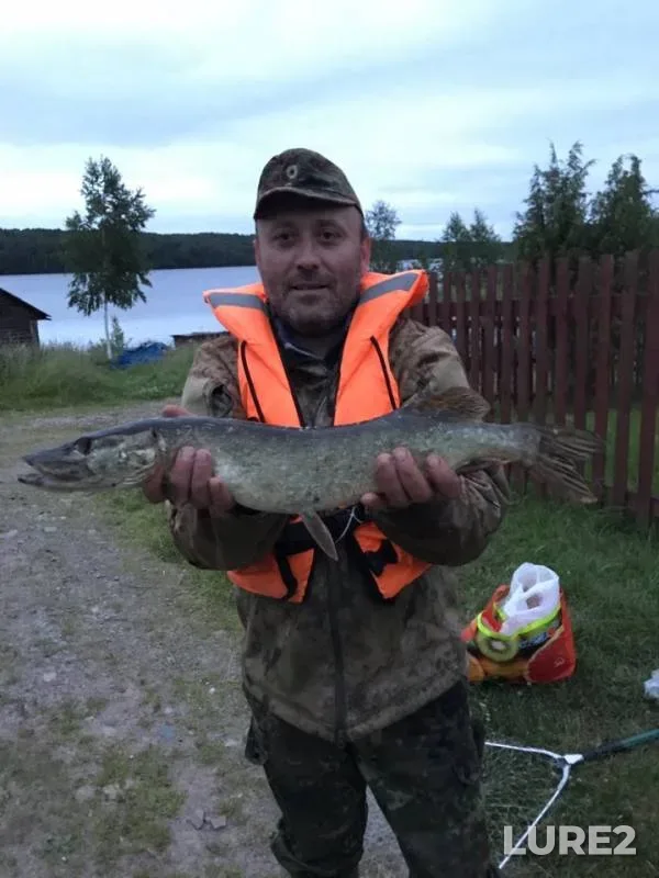 Pike — Toyba, Jul 12, 2019