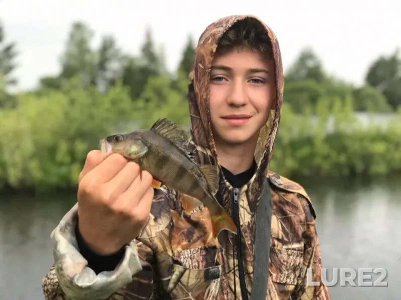 Perch — Kremenka, Jul 13, 2019