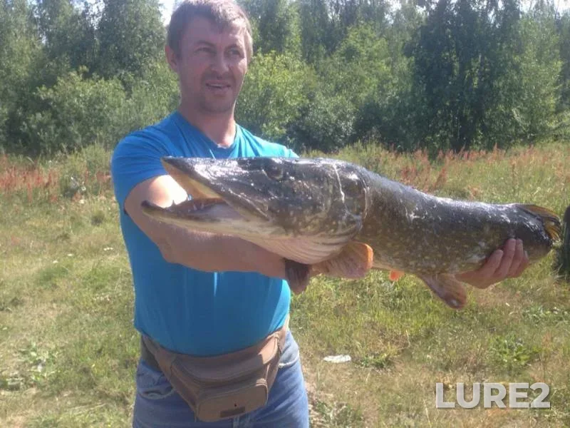 Pike — Novoladozhskiy kanal, Jul 14, 2019