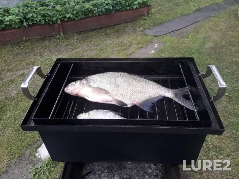 Bream — Volchya, Jul 14, 2019