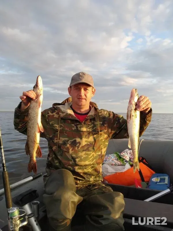 Pike, Zander — Leningradskaya oblast, Volkhovskiy rayon, Jul 15, 2019