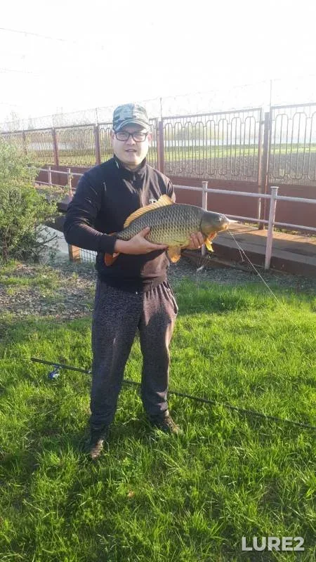Carp — Karmanovskoye, May 12, 2019