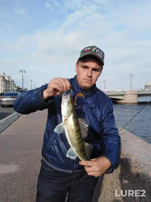 Zander — kanal Griboyedova, Jul 17, 2019