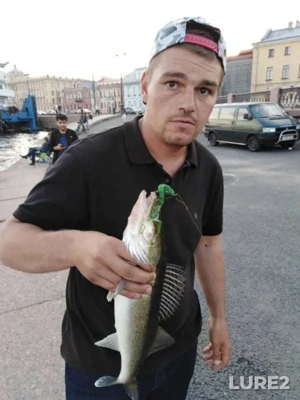Zander — kanal Griboyedova, Jul 20, 2019