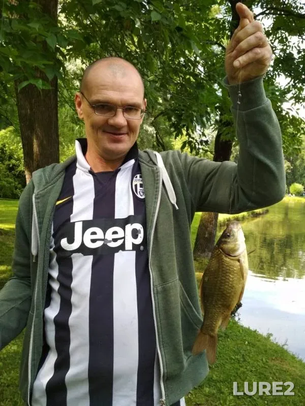 Crucian carp — Bumazhnyy kanal, Jul 20, 2019