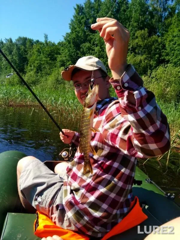 Pike — Leningradskaya oblast, Kirovskiy rayon, Jul 21, 2019