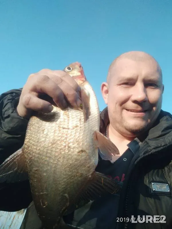 Bream, Wels catfish — Volkhov, Jul 28, 2019