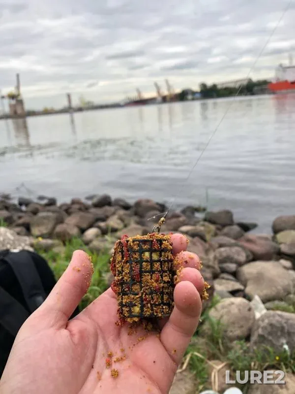 Bream — Morskoy kanal, Jul 30, 2019