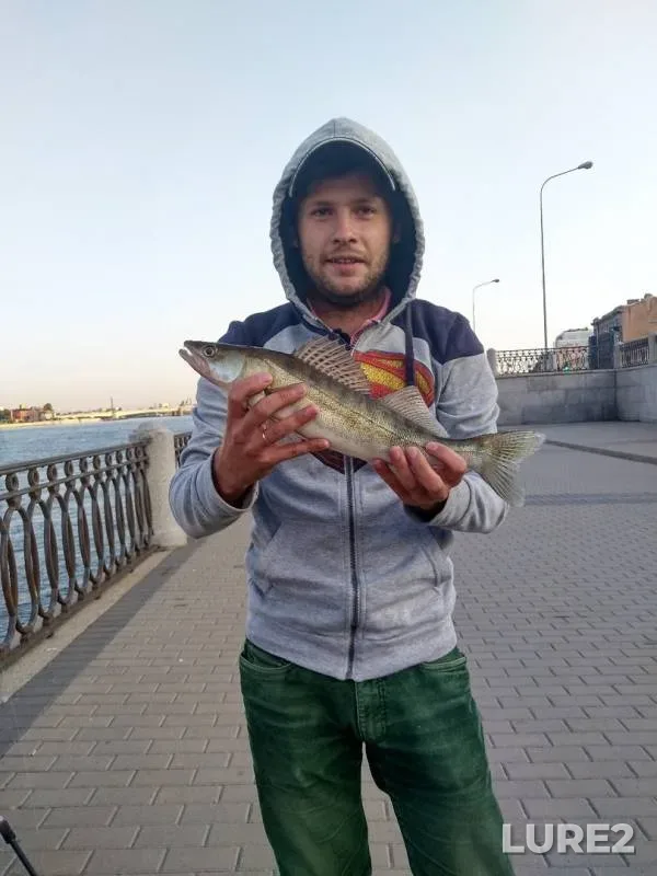 Zander — Volgo-Baltiyskiy kanal, Aug 06, 2019