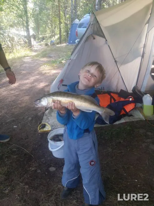 Bream, Zander — Vuoksi / Vuoksa, Aug 07, 2019