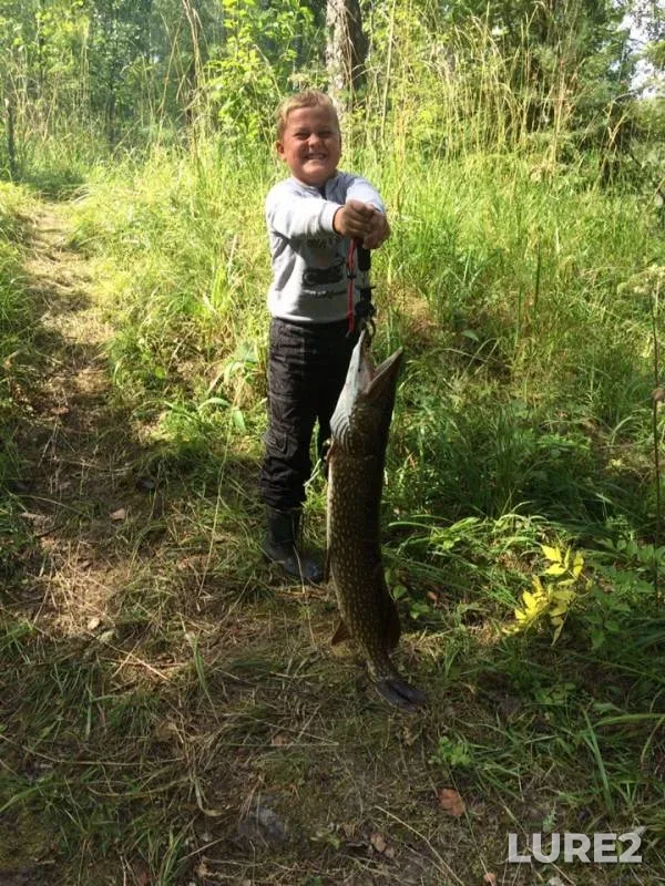 Pike — Tikhaya, Aug 11, 2019