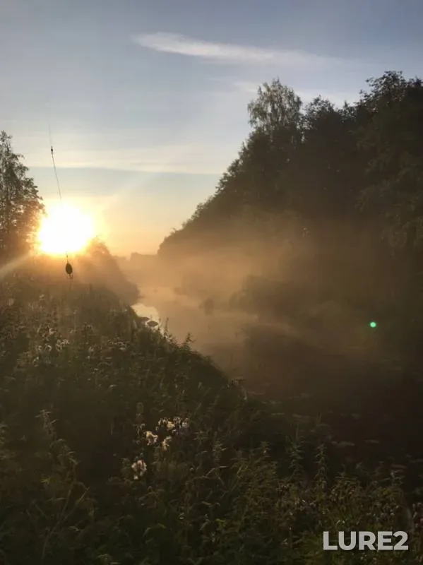 Pike — Leningradskaya oblast, Kirishskiy rayon, Aug 11, 2019