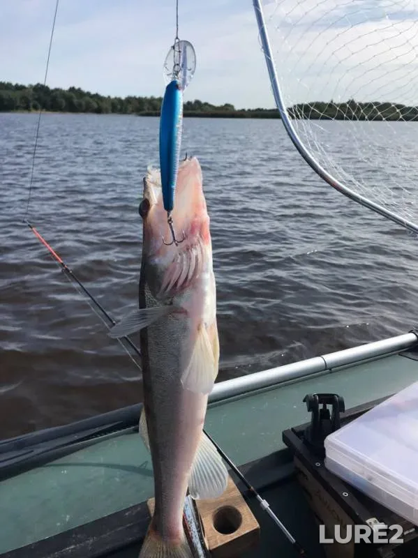 Pike, Zander — Volkhov, Aug 12, 2019