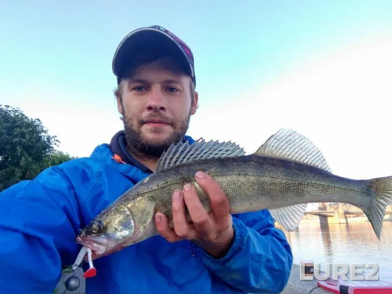 Zander — Volgo-Baltiyskiy kanal, Aug 17, 2019