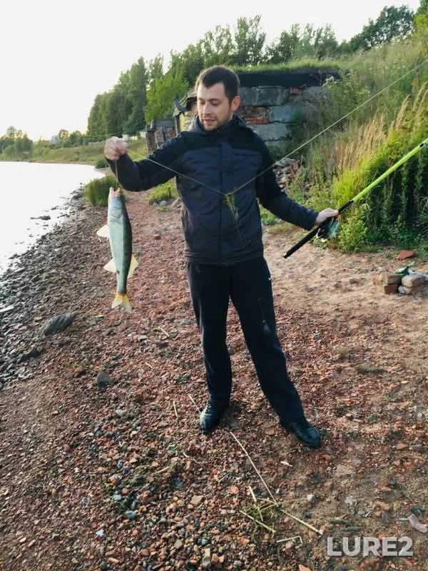Zander — Bolshaya Izhorka, Aug 25, 2019