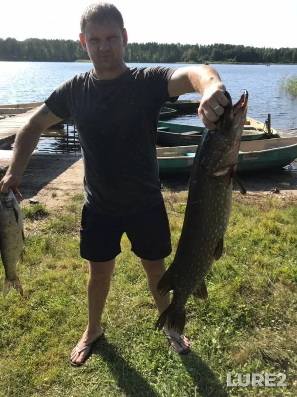 Pike — Severnyy rukav Vuoksy, Aug 28, 2019