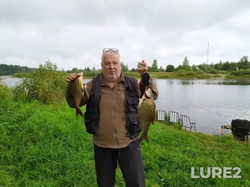 Bream — Luga, Aug 31, 2019