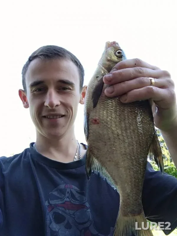 Bream, Roach — Luga, Sep 07, 2019