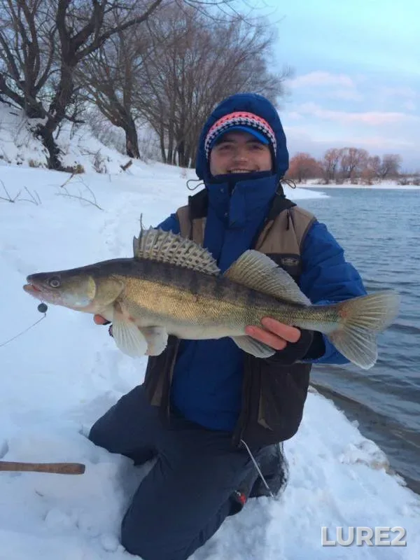 Pike, Zander — Moskva, Jan 22, 2017