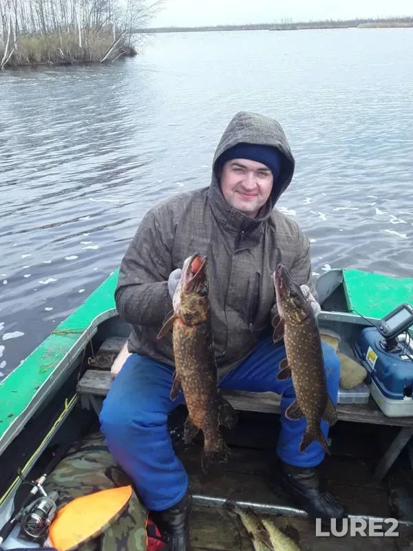 Pike — Narva veehoidla / Narvskoye, Oct 29, 2019